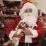 Petco - santa picture - Photo 1