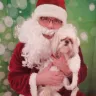 Petco - santa picture - Photo 2