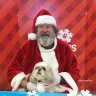 Petco - santa picture