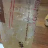 McDonald's - cockroach on my drink!