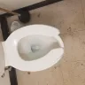 Dollar Tree - the condition of the store - Photo 4