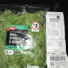 Coles Supermarkets Australia - baby spinach and rocket washed and ready to eat - Photo 2