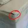Skynet Worldwide Express - dissatisfied of freight forwarding by skynet to goods damaged - Photo 6