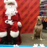 Petco - santa photo