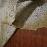 Home Depot - contractor carpet pad