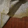 Home Depot - contractor carpet pad - Photo 1