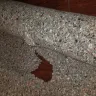 Home Depot - contractor carpet pad - Photo 3