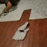 Home Depot - contractor carpet pad