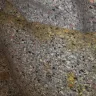 Home Depot - contractor carpet pad - Photo 9