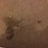Glade - automatic spray - Photo 5