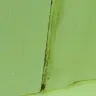 Motel 6 - cockroaches, black mold, and disrespectful manager - Photo 2
