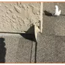 D.R. Horton - Poor construction/worst warranty customer service - Photo 6