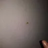 Motel 6 - cleanliness of room 316 jacksonville florida dunn avenue location - Photo 2