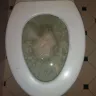 Motel 6 - cleanliness of room 316 jacksonville florida dunn avenue location - Photo 13