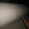 Motel 6 - cleanliness of room 316 jacksonville florida dunn avenue location - Photo 3