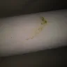 Motel 6 - cleanliness of room 316 jacksonville florida dunn avenue location - Photo 6