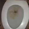 Motel 6 - cleanliness of room 316 jacksonville florida dunn avenue location - Photo 12