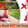 Facebook - essential oils philippines (young living) - Photo 2