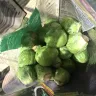 Costco - brussels sprouts are inedible, all full of holes from bugs