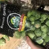 Costco - brussels sprouts are inedible, all full of holes from bugs