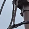 Florida Power & Light [FPL] - frayed wire near the weatherhead of house (roof)