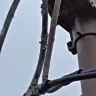 Florida Power & Light [FPL] - frayed wire near the weatherhead of house (roof) - Photo 1