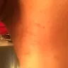 Bath & Body Works Direct - body spray - moonlight path diamond shimmer mist - Photo 2