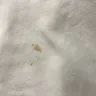 Baymont Inn & Suites - lack of room cleanliness/ safety - Photo 3
