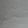 NYC Housing Authority [NYCHA] - the roof on my development is collapsing - Photo 3
