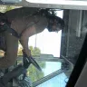 UPS - driver - Photo 2