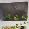 Panera Bread - asian sesame salad with chicken - Photo 1