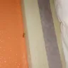 Motel 6 - too loud/ roaches - Photo 1