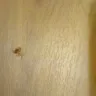 Motel 6 - too loud/ roaches - Photo 4