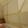 Protea Hotels - condition of the shower in the room - Photo 1