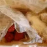 Wingstop - customer service and disgusting food area. I have pictures. - Photo 1