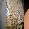 Lennar - lennar construction quality - 80+ construction defects and they just ignore homeowners - Photo 18