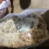 Woolworths - rat eaten bread
