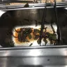 Chipotle Mexican Grill - service from the manager - Photo 1