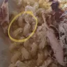 Olive Garden - cavatoppi pasta with asiago and grilled chicken - Photo 1