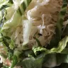 Chipotle Mexican Grill - bug in food