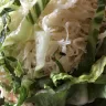 Chipotle Mexican Grill - bug in food - Photo 1
