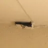 Days Inn - 3 wasp nest outside my room door