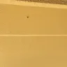 Days Inn - 3 wasp nest outside my room door - Photo 5