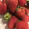 Woolworths - driscoll's strawberries - Photo 1