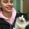 VCA Animal Hospitals - gross negligence - Photo 1