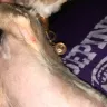 Petco - grooming - Photo 2