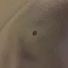 Days Inn - room/whole place - Photo 1