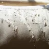 Ashley HomeStore - ashley furniture durablend sofa and loveseat peeling - Photo 3