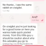 Letgo - I posted an animal hut for sale and it went down hill - Photo 5