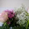 Serenata Flowers - quality of goods